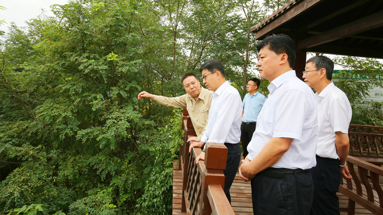 202108271630034437114847.jpg 4.jpg