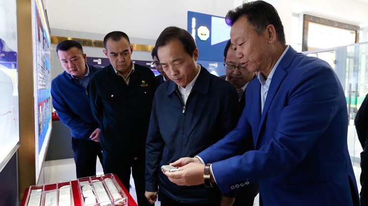 省委常委、副省長周學文蒞臨金徽股份調研綠色礦山建設工作